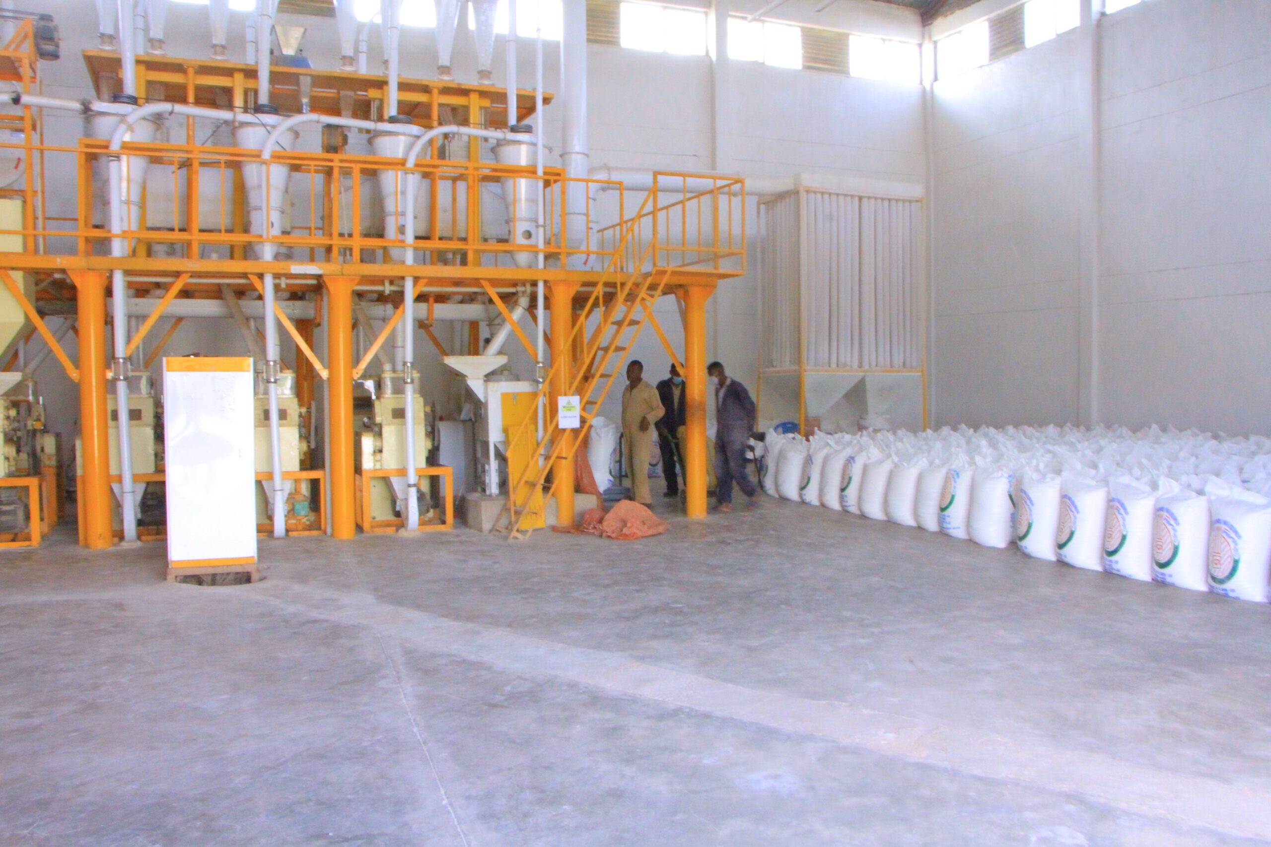 High Standard Flour Factory