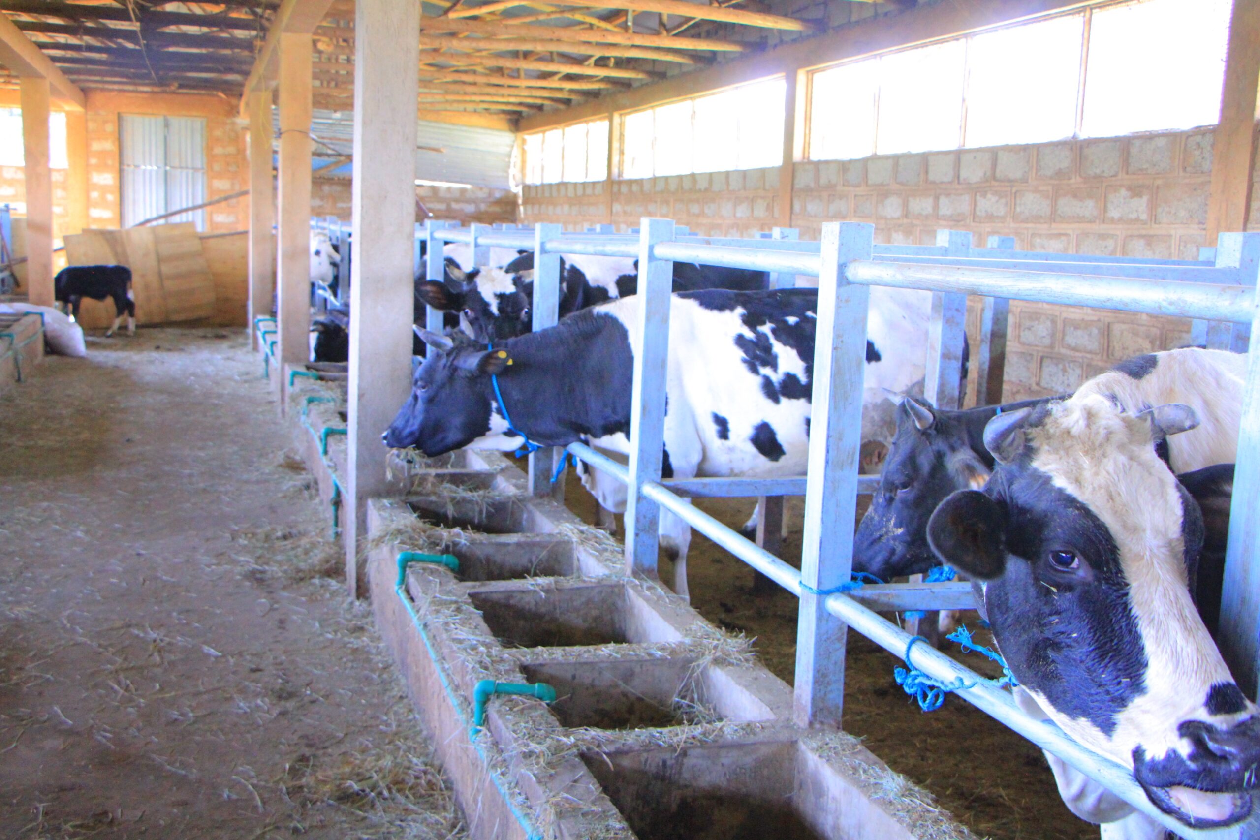 Agricultural input supply